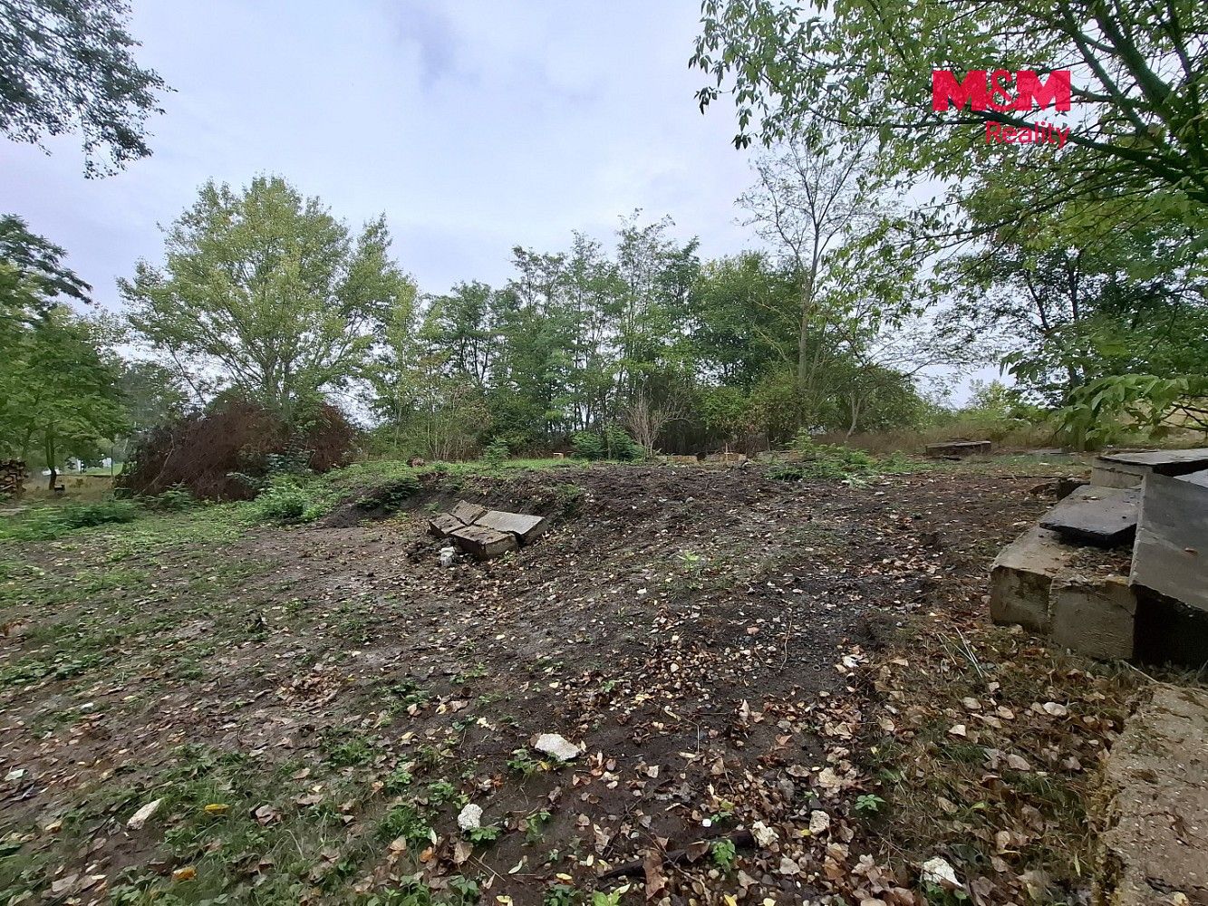 Prodej les - Šakvice, okres Břeclav, Jihomoravský kraj - 5