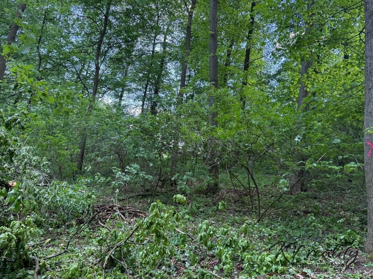 Pozemky pro bydlení, Hradčovice, 687 33 - 2
