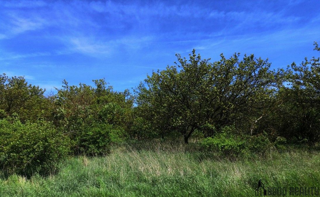 Prodej pozemek - Hustopeče, okres Břeclav, Jihomoravský kraj - 2