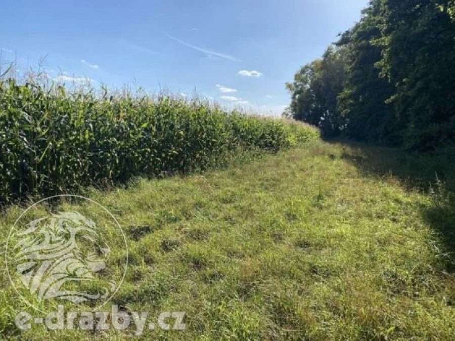 Prodej zemědělský pozemek - Oseček, 83 999 m²