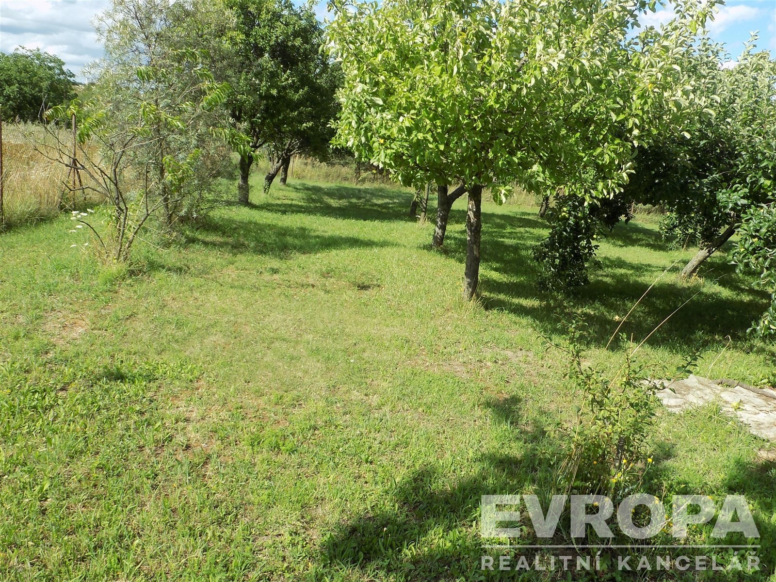 Zahrada · Bělušice - 4