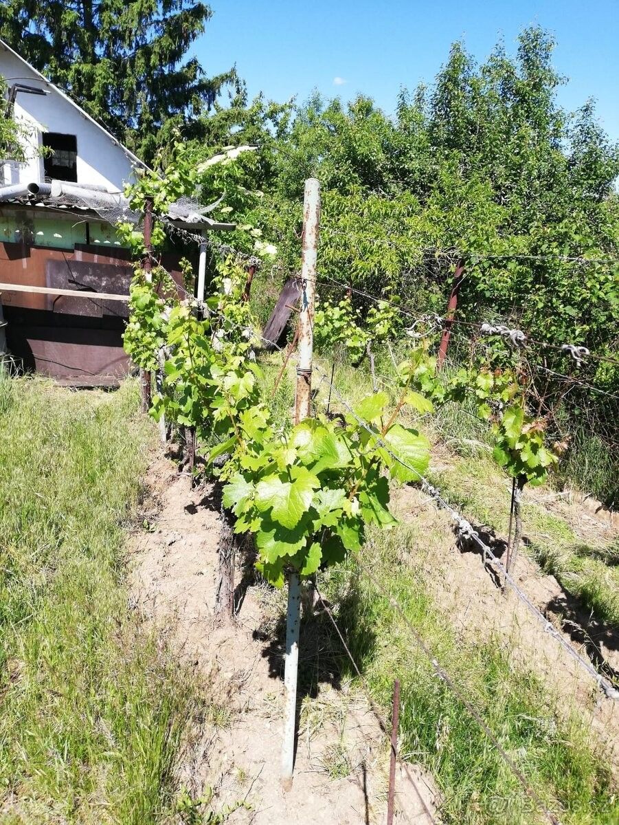 Chaty, Hrušovany u Brna, 664 62