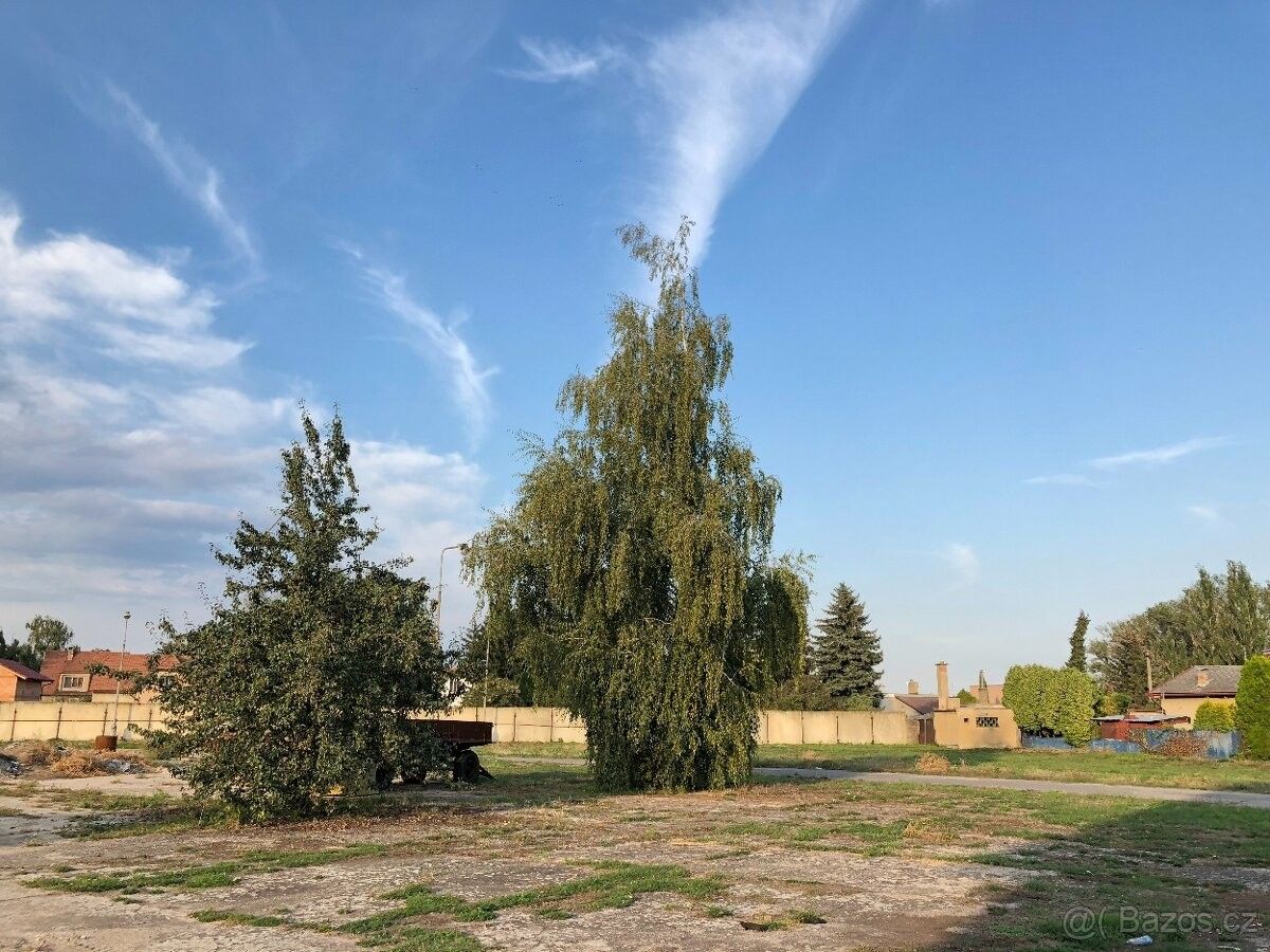 Pronájem ostatní - Lužec nad Vltavou, 277 06 - 5