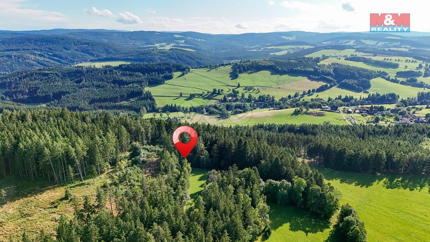 Prodej les - Petrovice u Sušice - Maršovice, okres Klatovy, Plzeňský kraj - 2