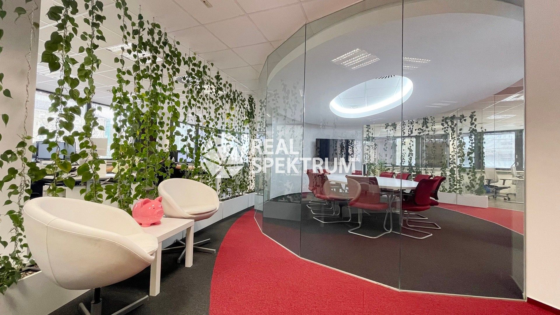 Pronájem kancelář - Nové sady, Brno, 430 m²