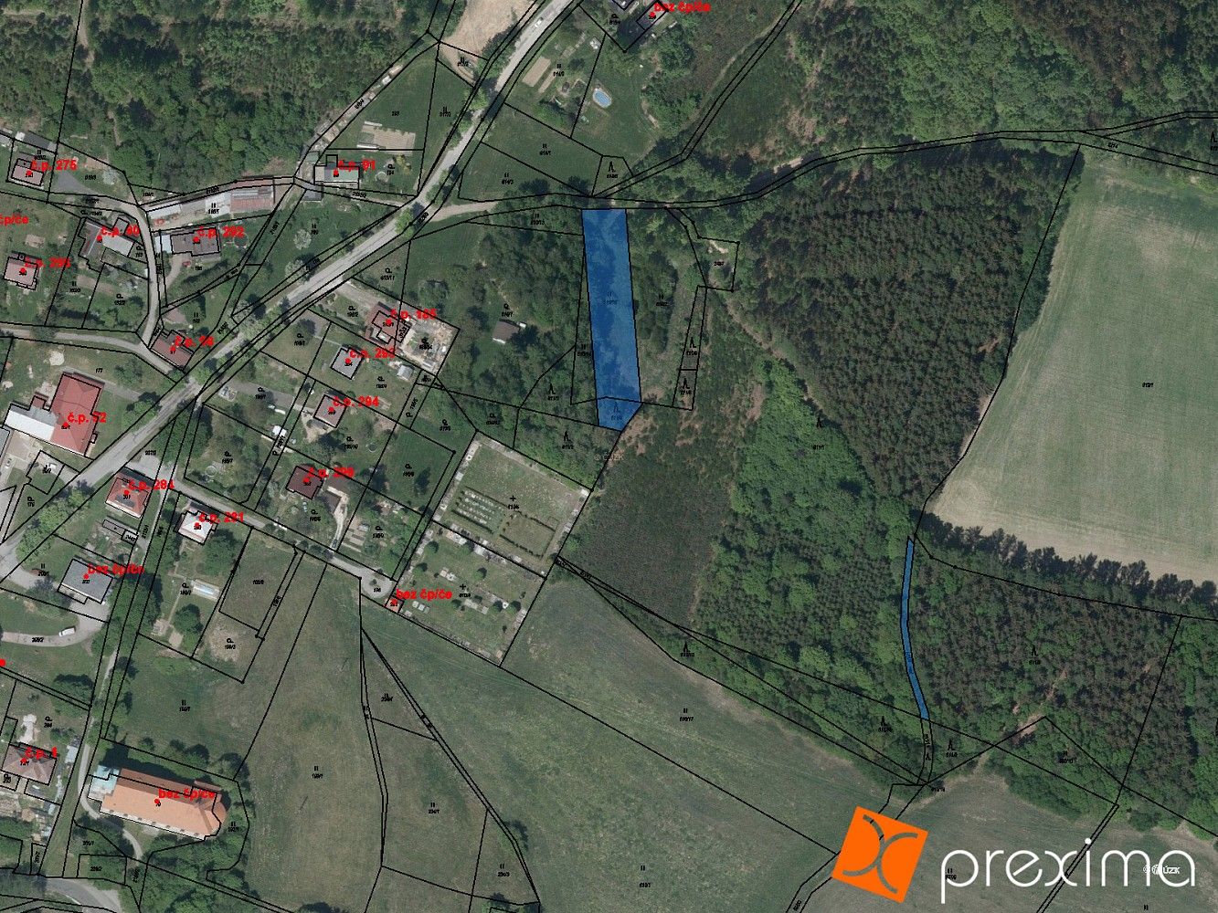 Prodej les - Horní Brusnice, okres Trutnov, Královéhradecký kraj - 1