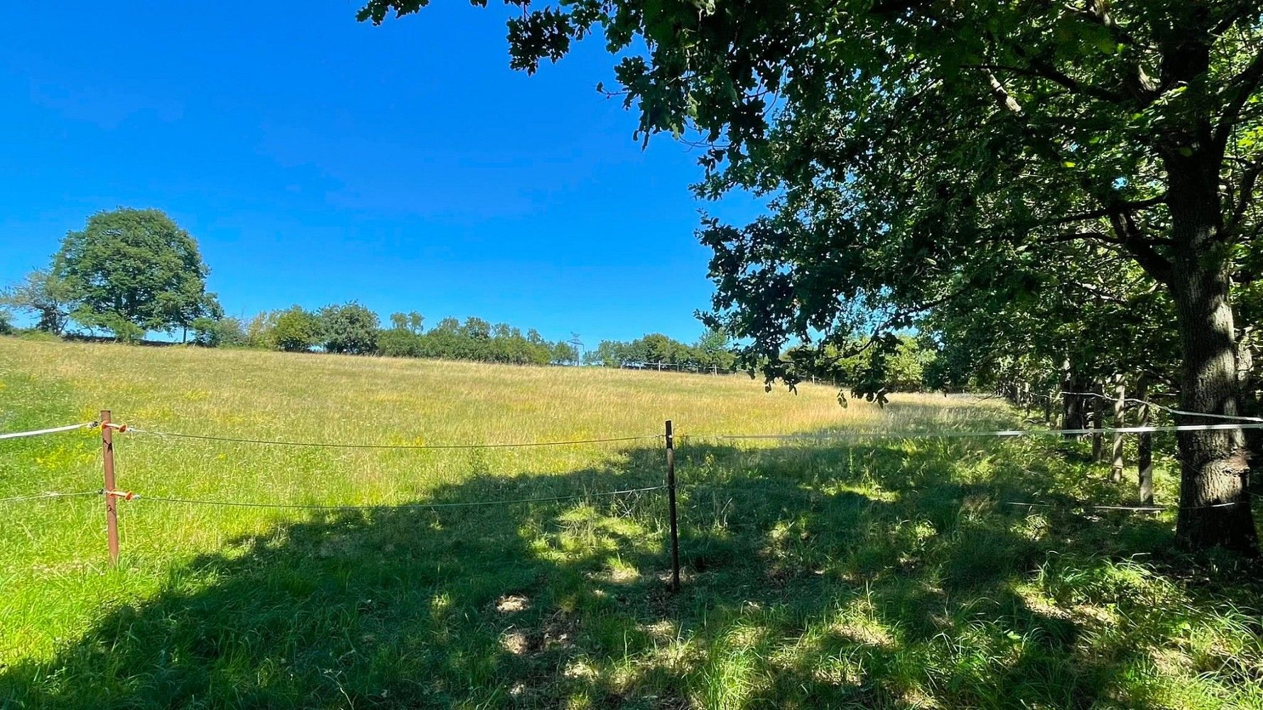 Pozemek · Bojanovice, okres Praha-západ, Středočeský kraj - 3