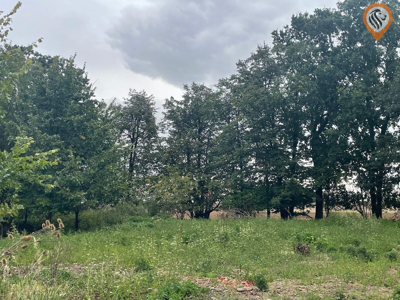 Zemědělské pozemky, Úhonice, 51 051 m² - 1