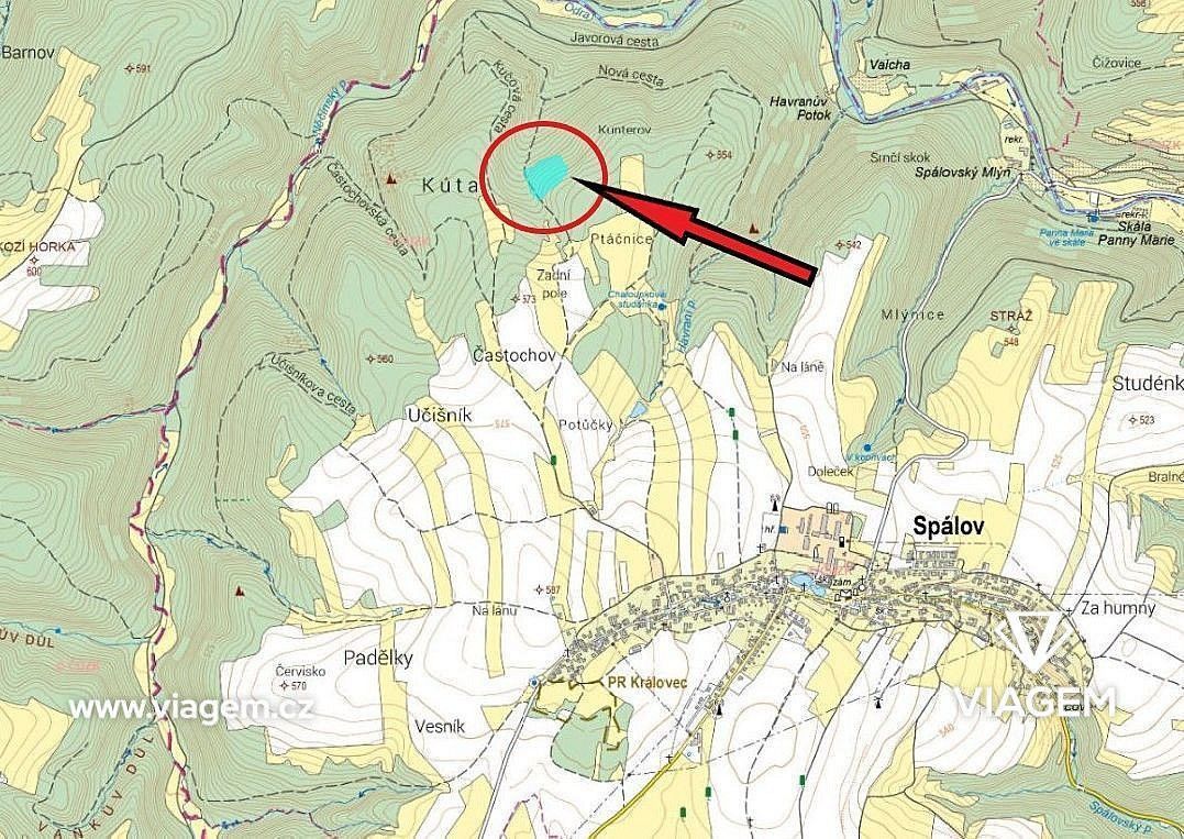 Les · Spálov, okres Nový Jičín, Moravskoslezský kraj - 4