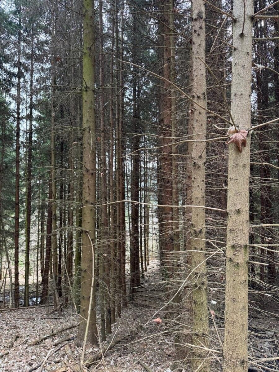 Stavební pozemek, Zábřeh – další