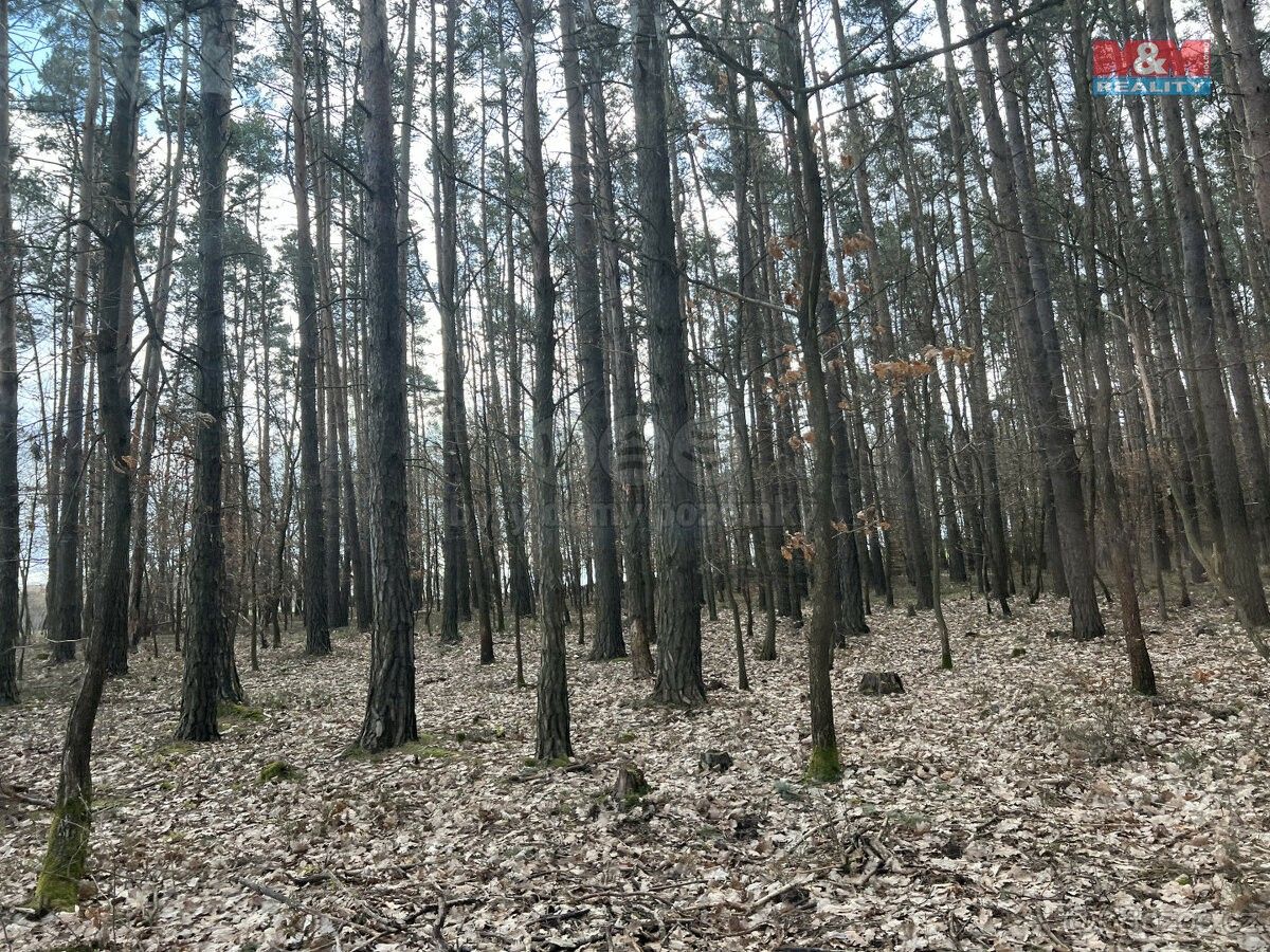 Lesy, Hvozdnice, 252 05, 40 156 m²