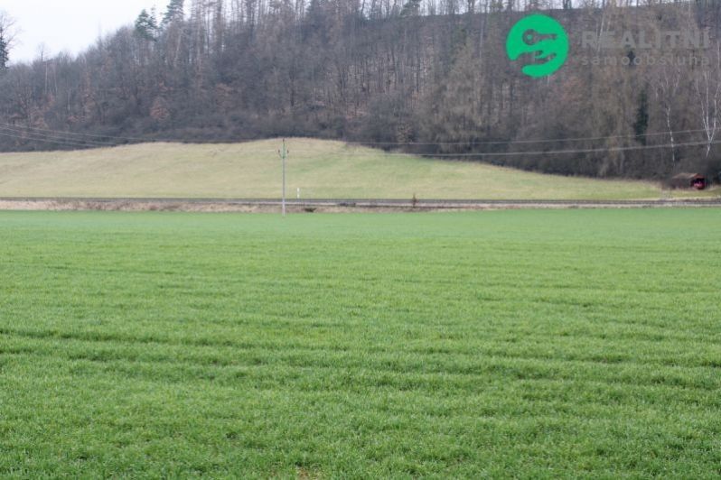 Zemědělské pozemky, Kunčice nad Labem, 131 553 m²