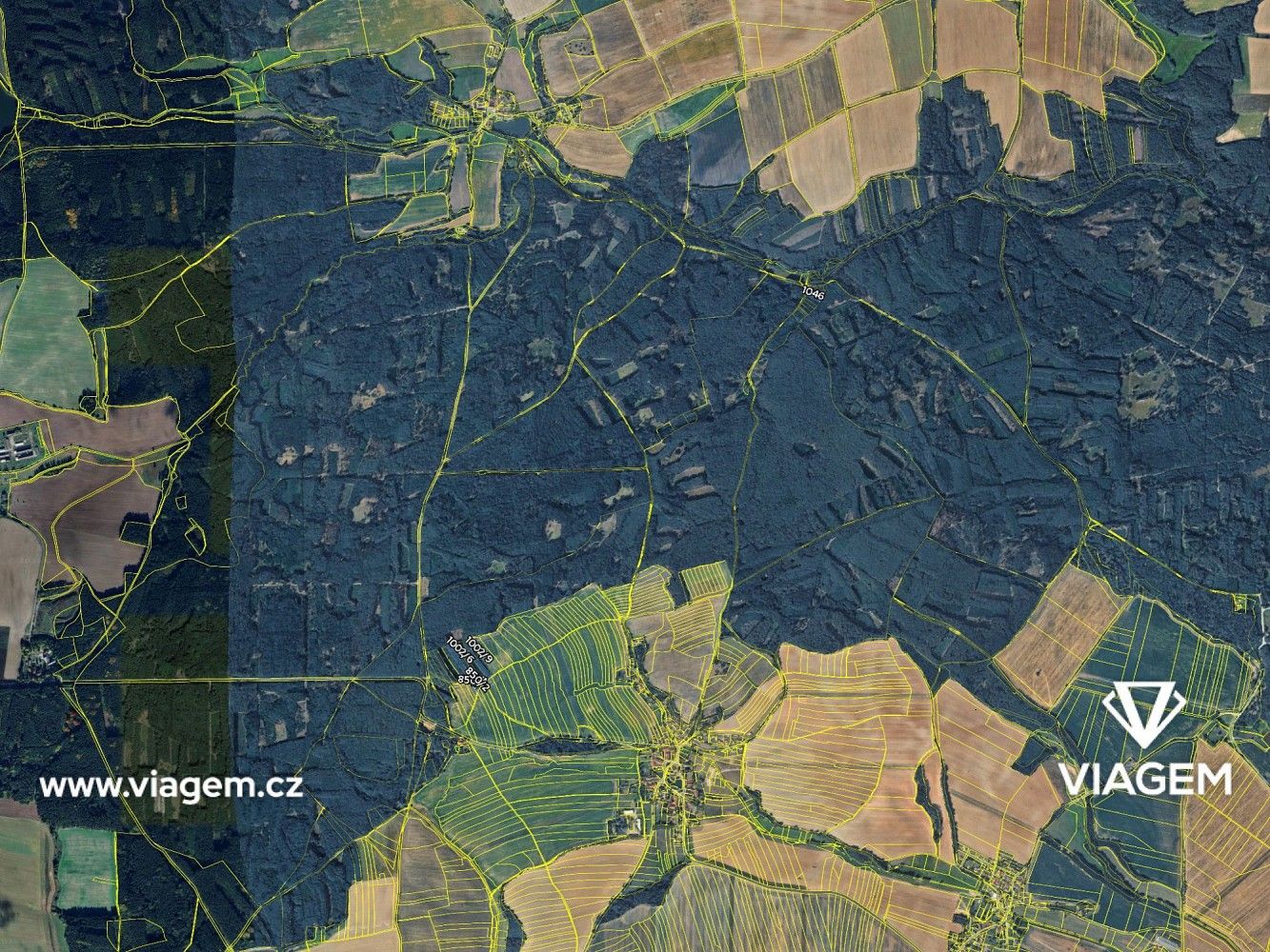 Les · Všekary, okres Plzeň-jih, Plzeňský kraj - 4