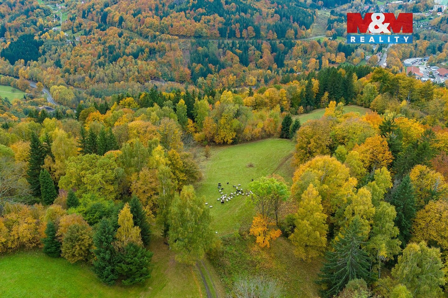 Prodej louka - Tanvald - Šumburk nad Desnou, okres Jablonec nad Nisou - 5