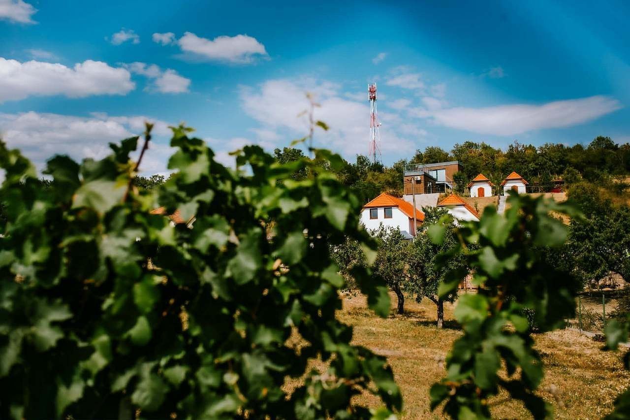 Chaty, Jaroslavice - Jaroslavice, Jihomoravský kraj