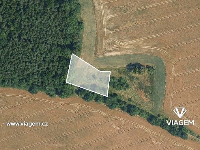 Zemědělské pozemky, Stojice, okres Pardubice - 2