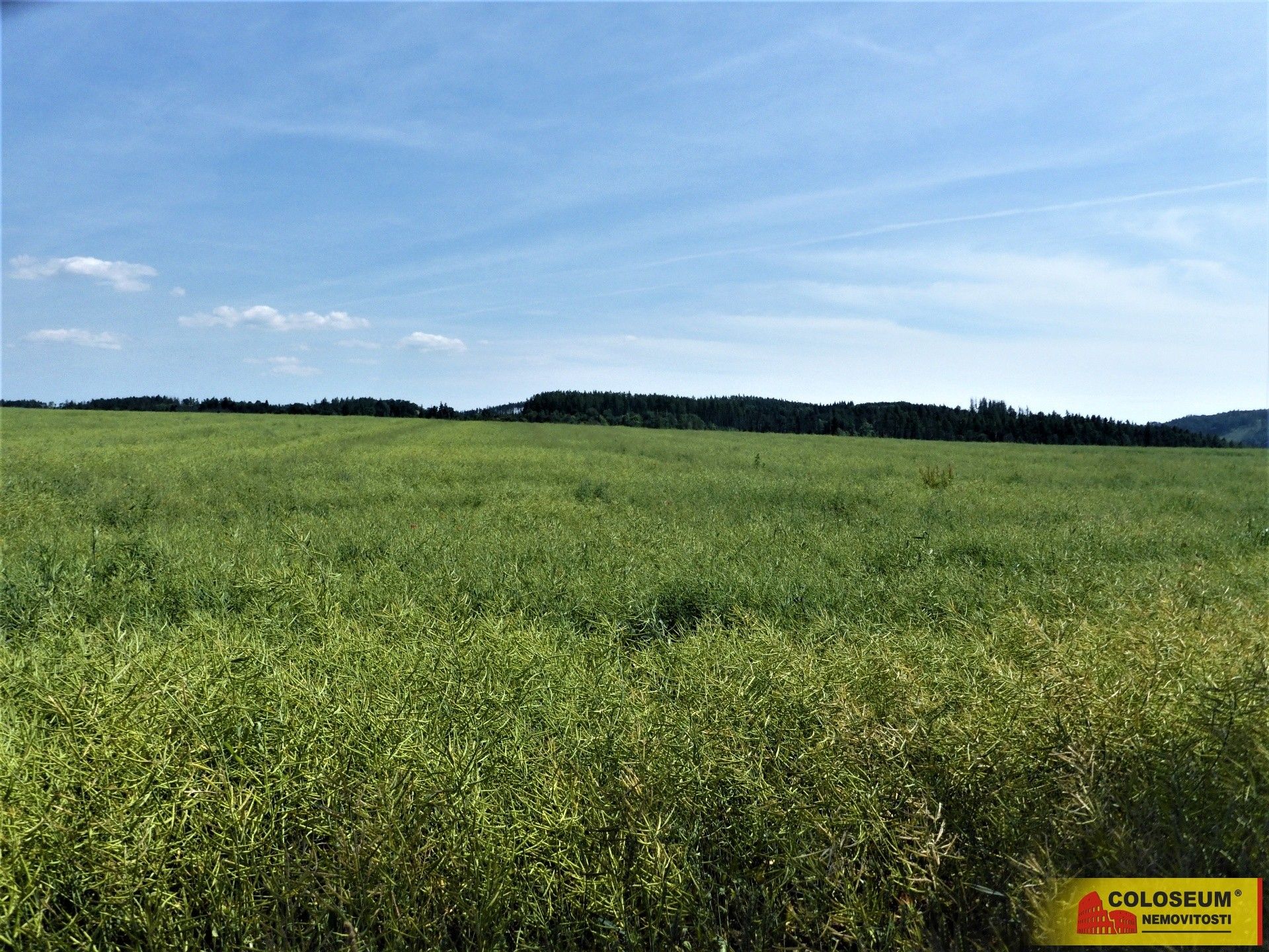 Prodej zemědělský pozemek - Letovice - 5