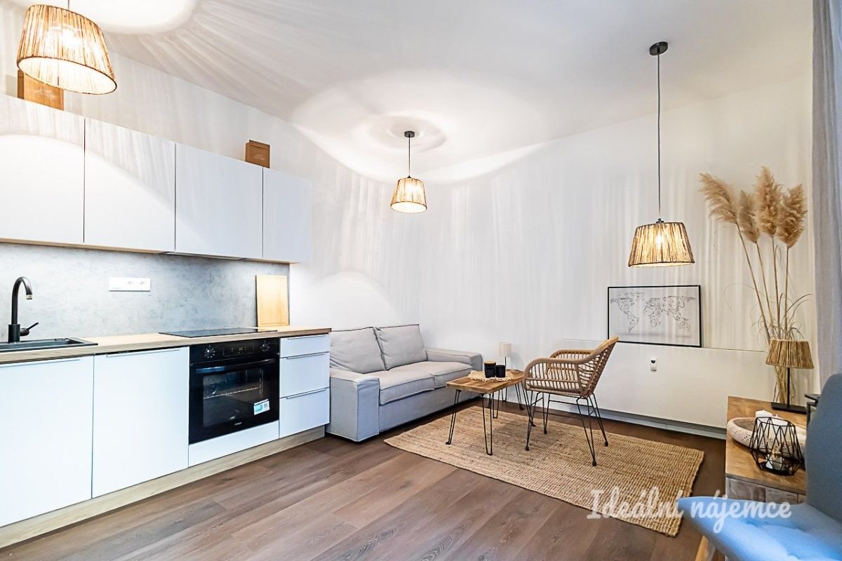 1+kk, Pod Žvahovem, Praha, 28 m²