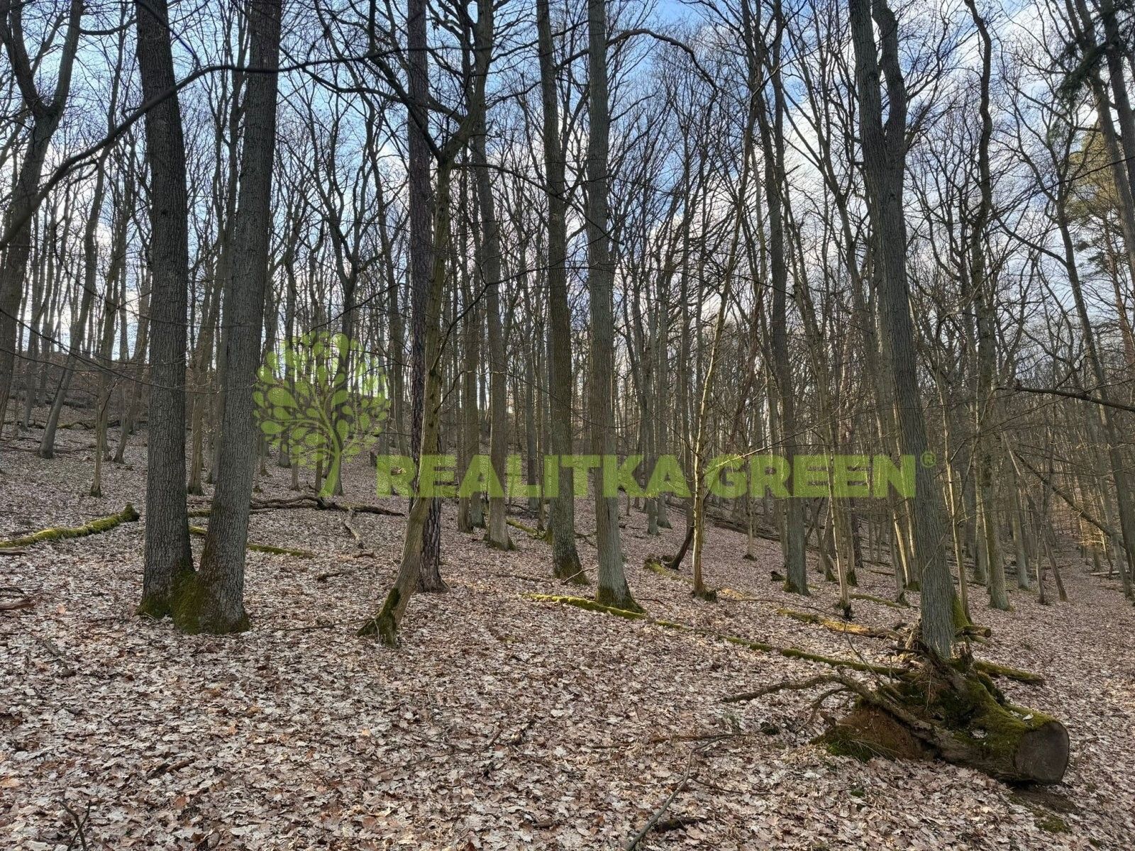 Lesy, Morkůvky, 3 018 m²