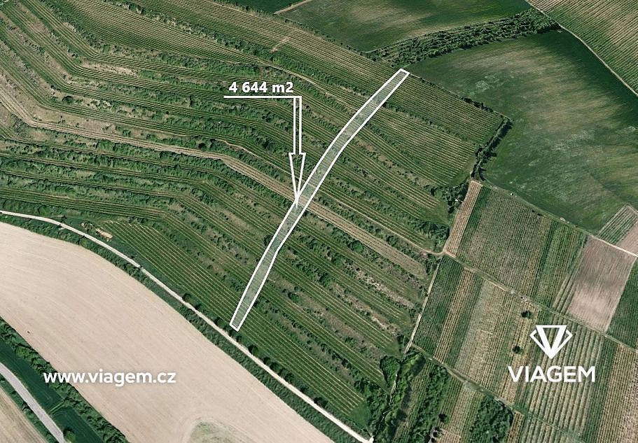 Zemědělské pozemky, Morkůvky, okres Břeclav, Jihomoravský kraj