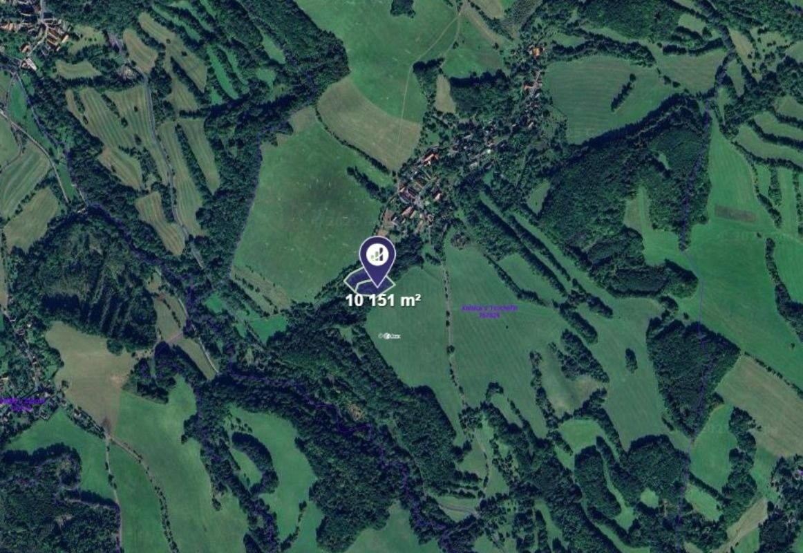 Prodej les - Lovečkovice, 10 151 m²