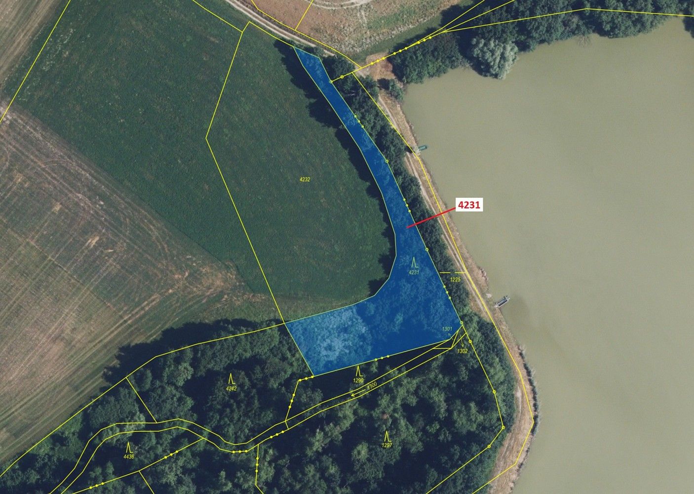 Les · Dobříkov, okres Ústí nad Orlicí, Pardubický kraj - 2