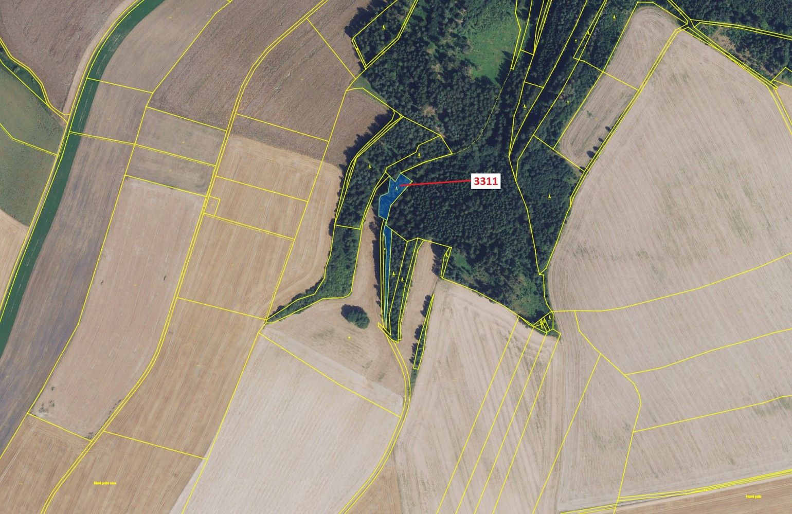 Les · Bělá nad Svitavou, okres Svitavy, Pardubický kraj - 2