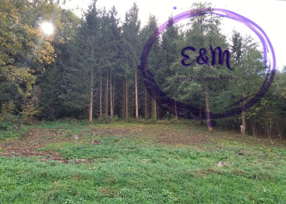 Prodej pozemek pro bydlení - Moravský Karlov, Červená Voda, 1 m²