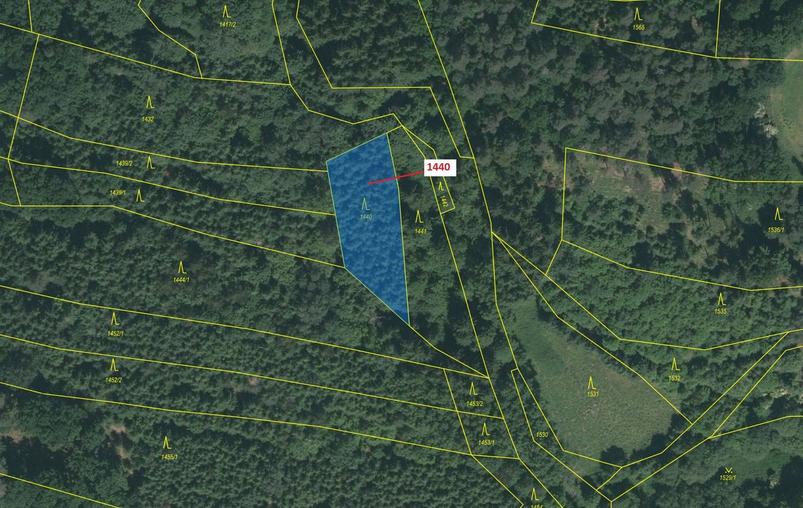 Prodej les - Dražice, okres Tábor, Jihočeský kraj - 2