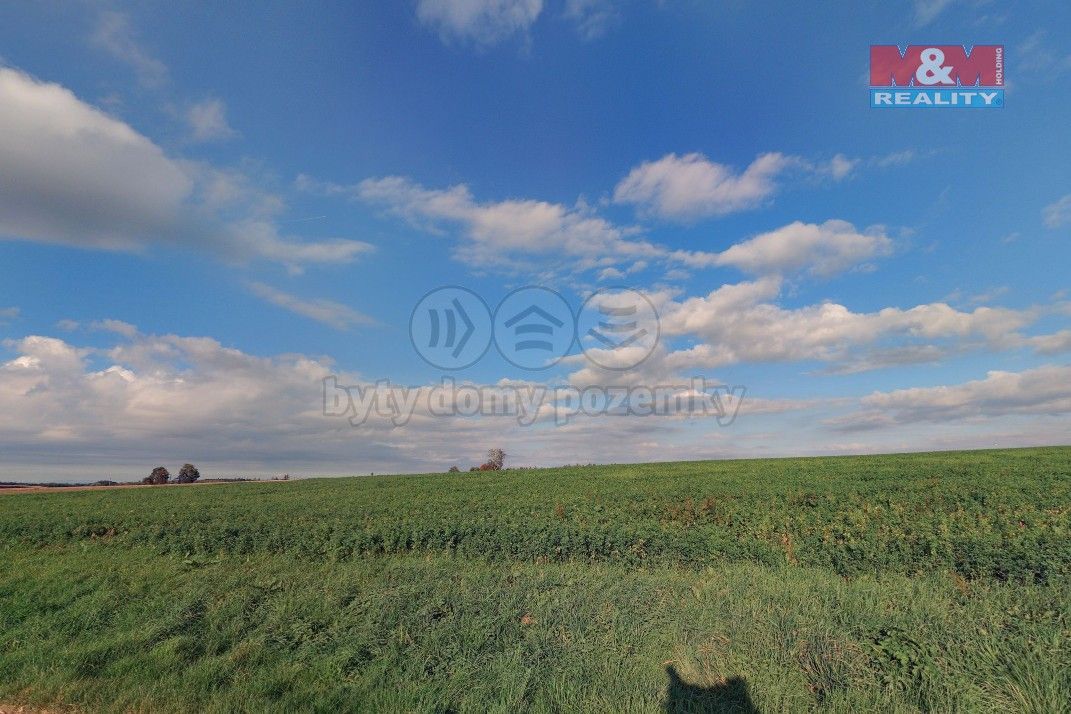 Zemědělské pozemky, Uhlířské Janovice, 285 04, 7 628 m²