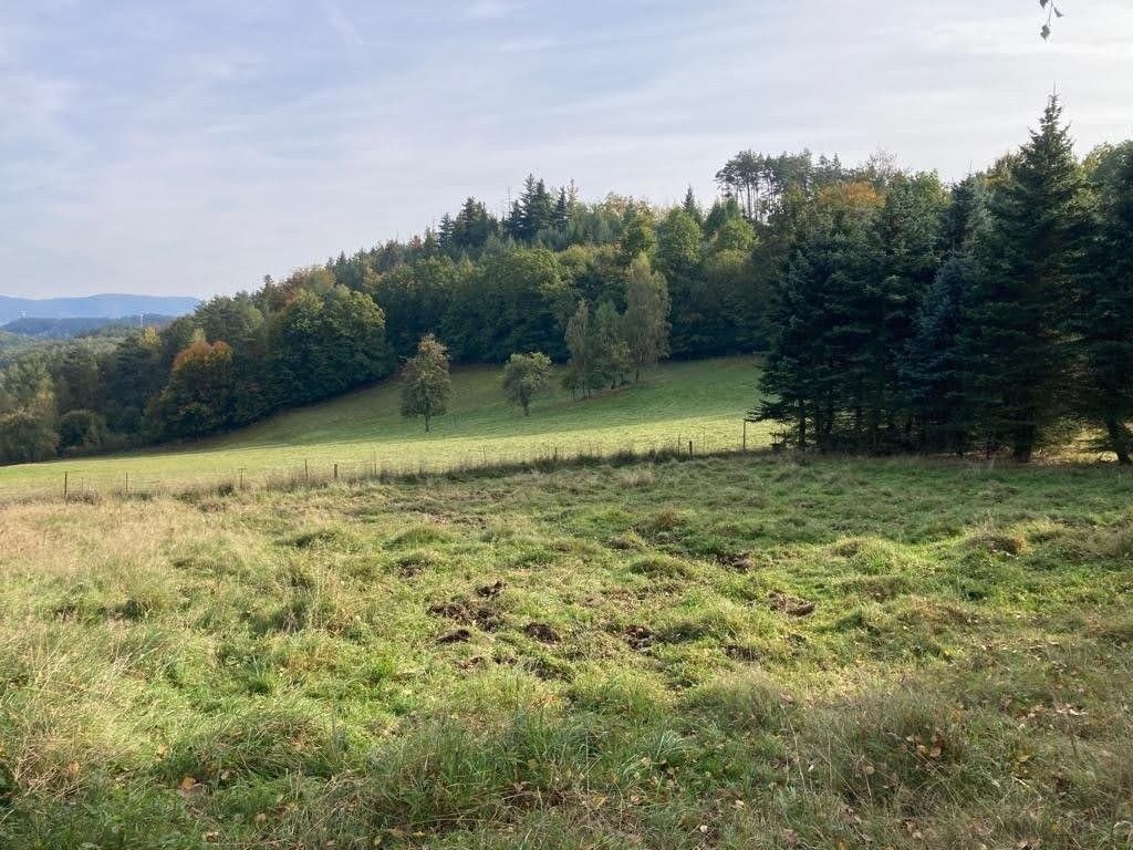 Prodej pozemek pro bydlení - Děčín