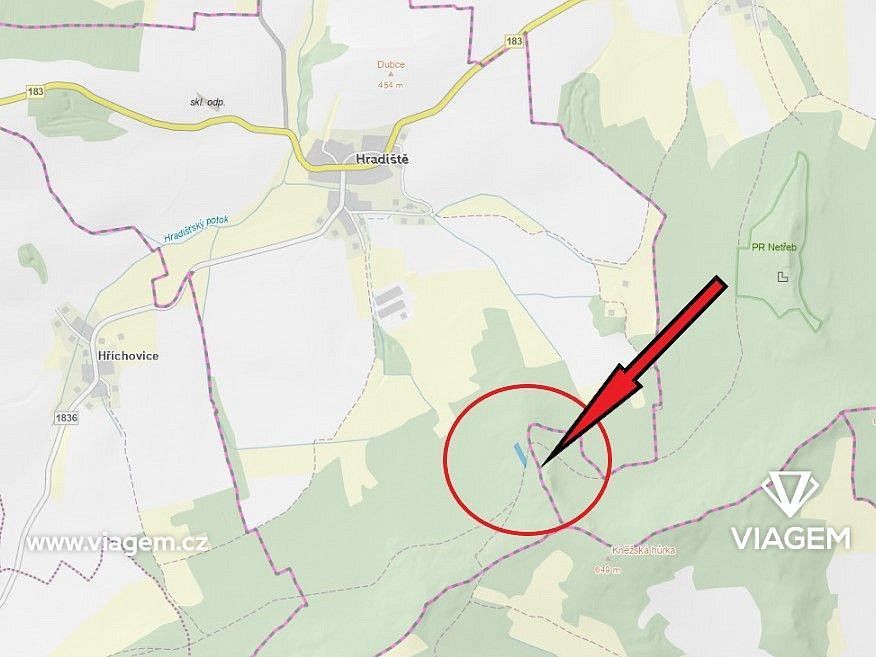 Les · Hradiště, okres Domažlice, Plzeňský kraj - 4