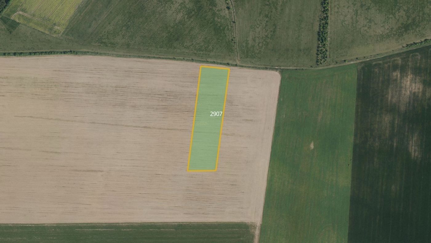 Prodej zemědělský pozemek - Ronov nad Doubravou