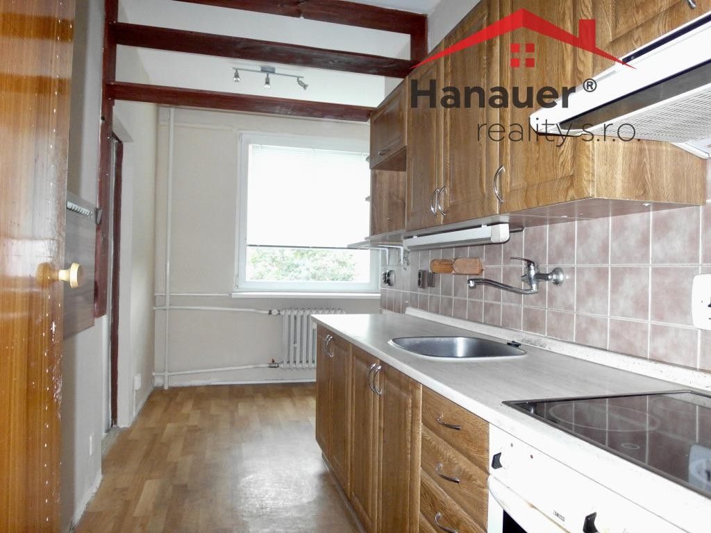 Pronájem byt 3+1 - U Pivovarské zahrady, Ústí nad Labem, 81 m²