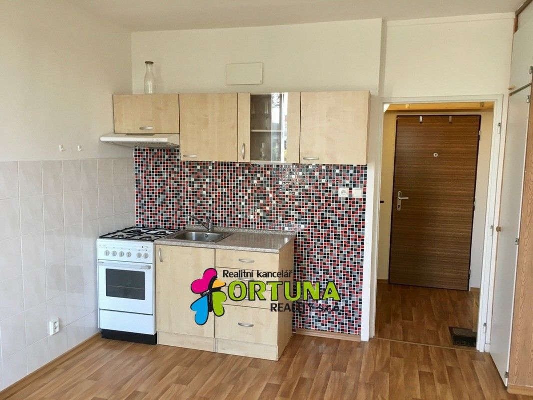 Pronájem byt 2+kk - České Budějovice 2, České Budějovice, 37 m²