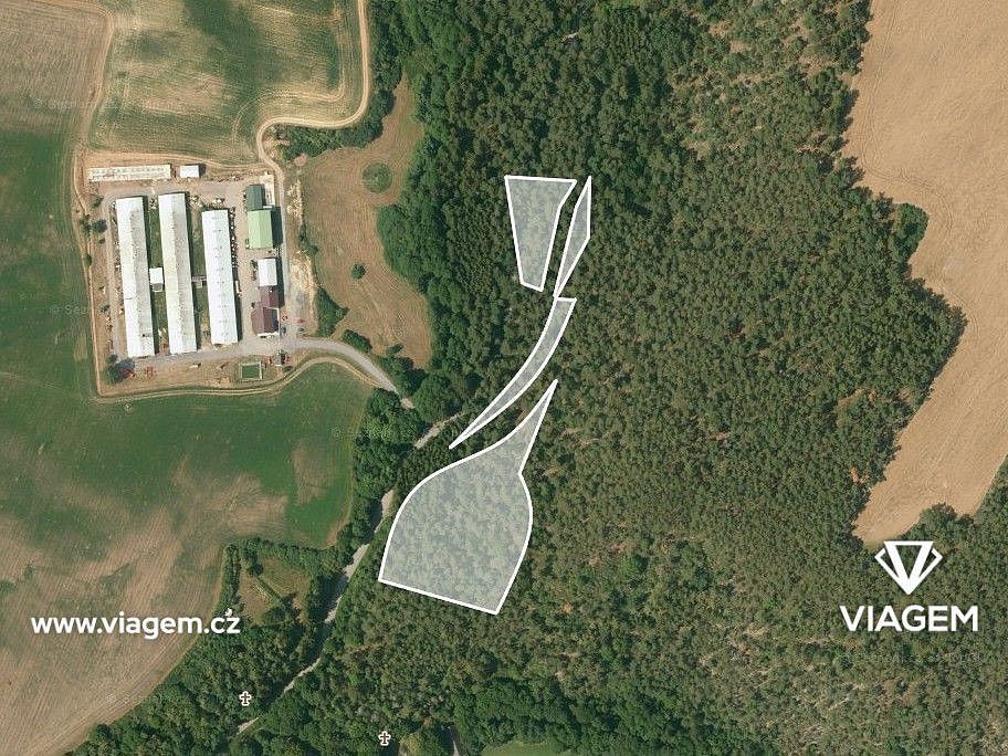 Prodej les - Manětín, okres Plzeň-sever, Plzeňský kraj - 2