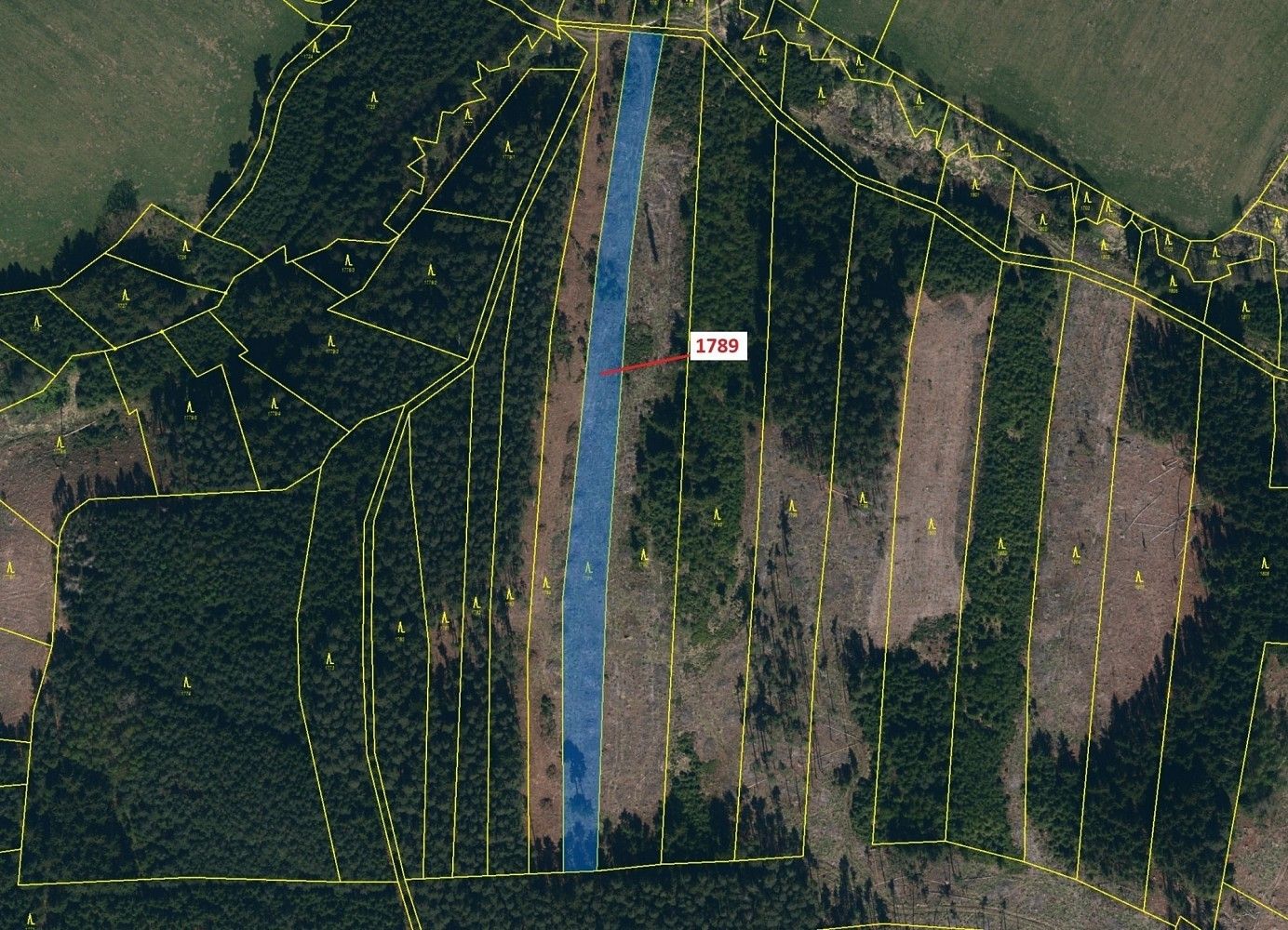 Prodej les - Rodinov, okres Pelhřimov, Kraj Vysočina - 2