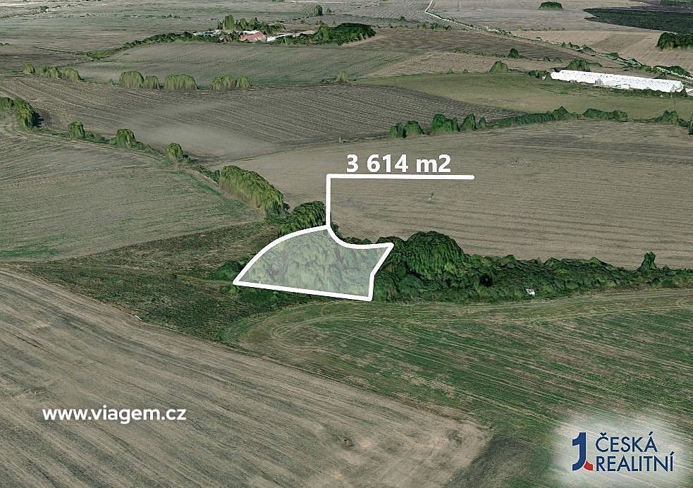 Zemědělské pozemky, Veliká Ves, okres Praha-východ, Středočeský kraj - 2
