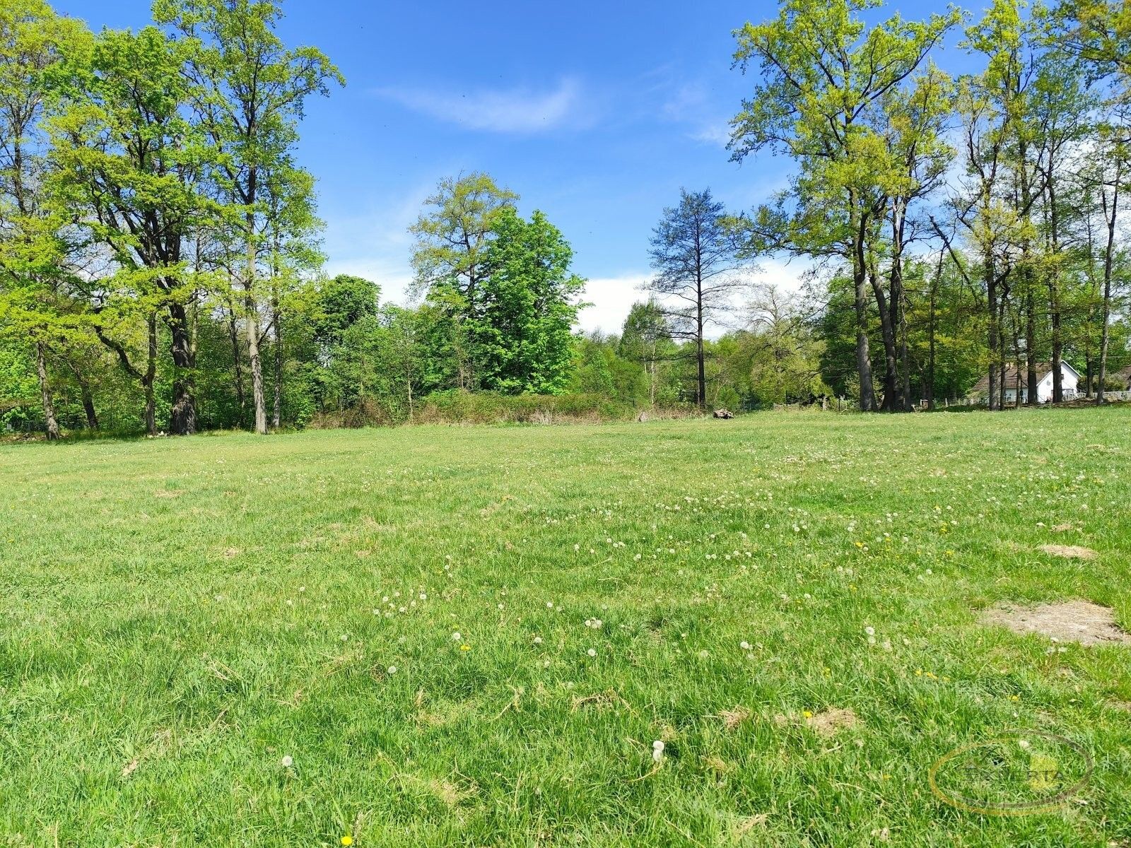 Louky, Třeboň Branná, 2 500 m² - 2