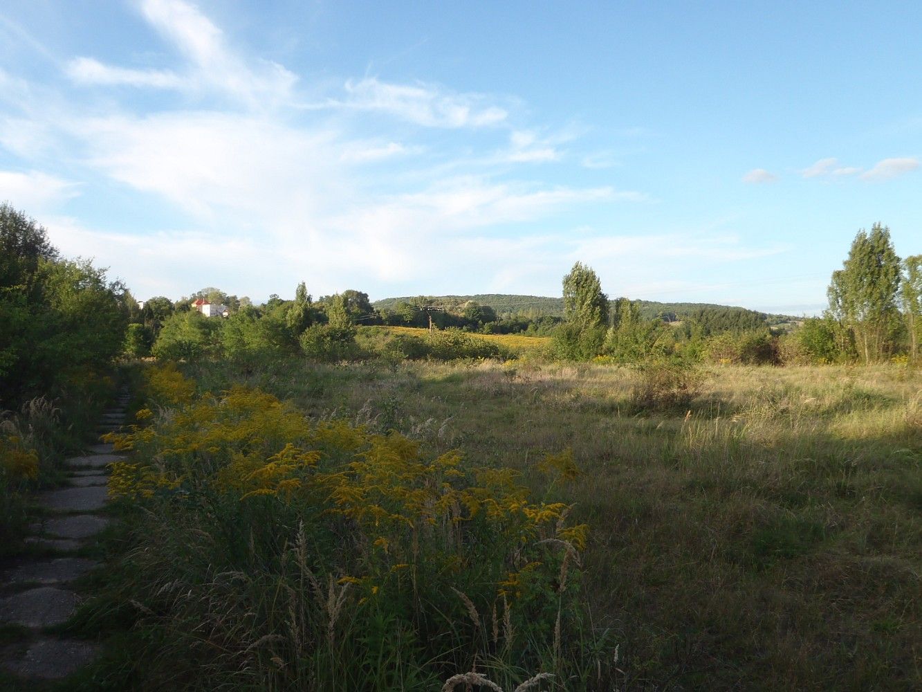Prodej louka - Kosmonosy, okres Mladá Boleslav, Středočeský kraj - 5