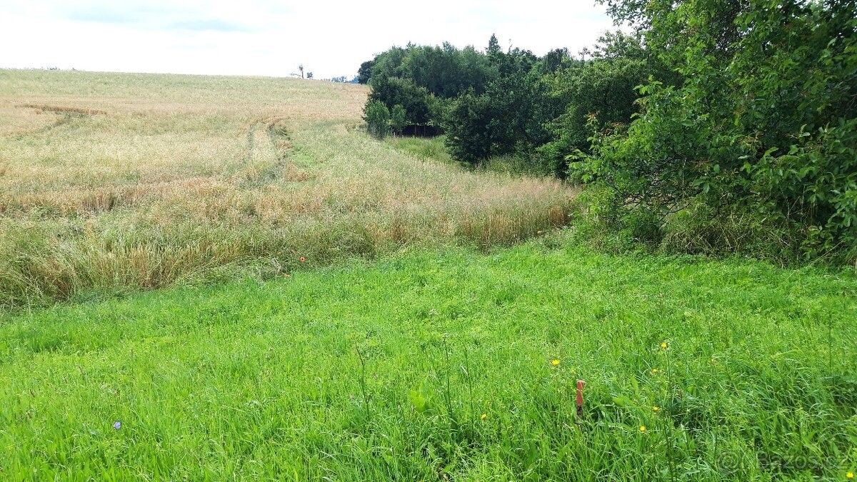 Prodej pozemek pro bydlení - Slavětín u Litovle, 783 24