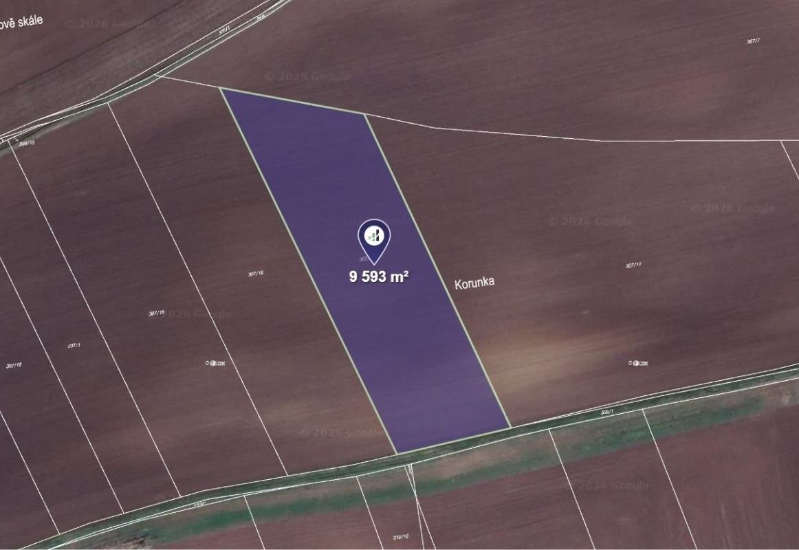 Zemědělské pozemky, Miškovice, Třebovle, 9 593 m²