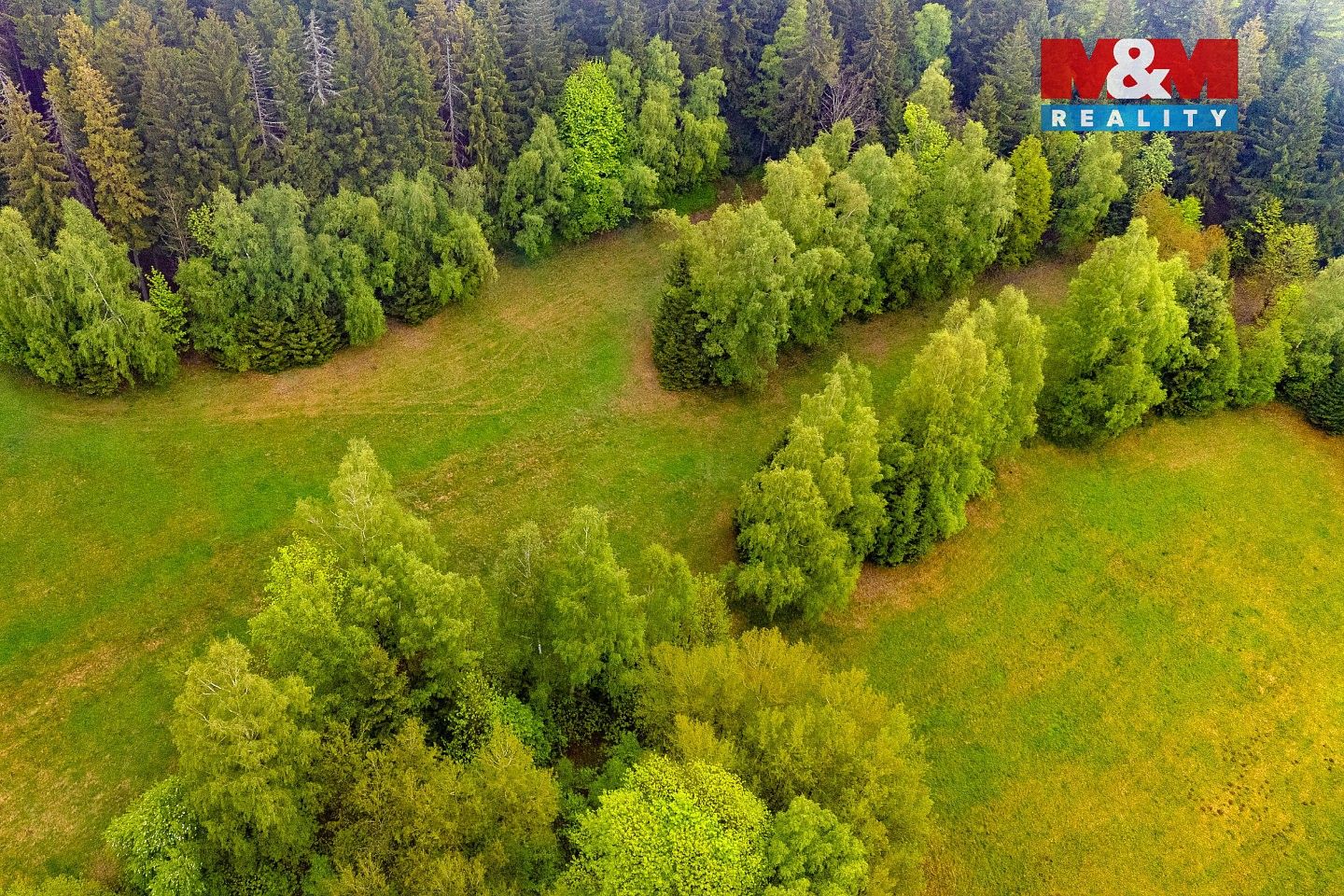 Louka · Tanvald - Šumburk nad Desnou, okres Jablonec nad Nisou, Liberecký kraj - 3