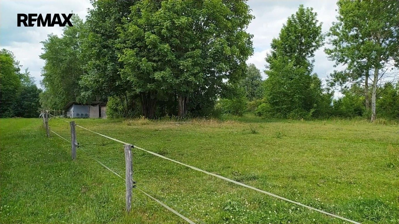 Prodej pozemek pro bydlení - Mladějov na Moravě, 7 880 m² - 5