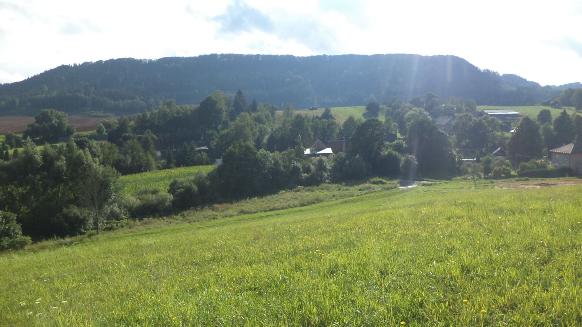 Pozemek · 34 731 m² · Dolní Dobrouč - 3
