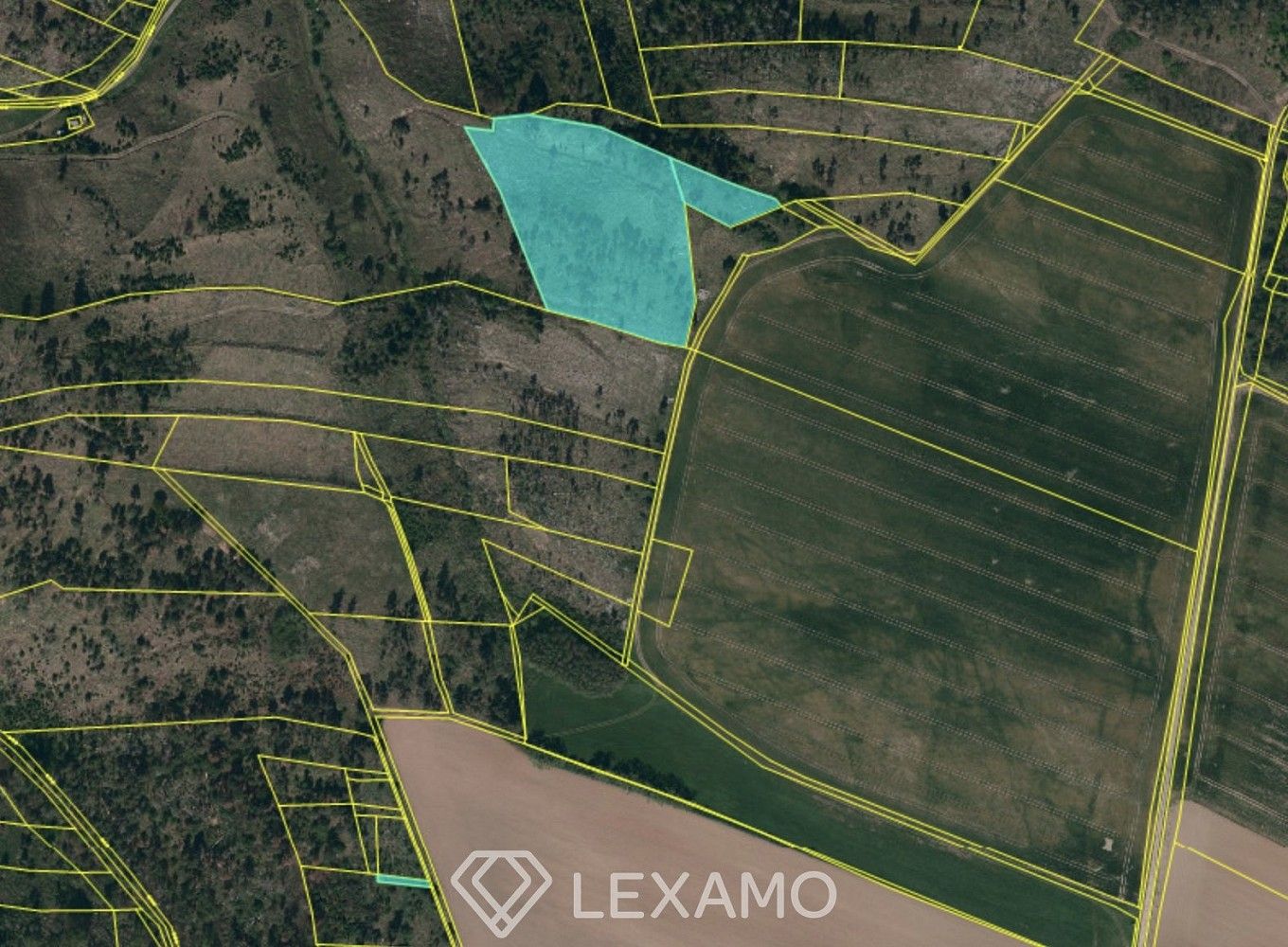 Les · Vladislav - Střížov, okres Třebíč, Kraj Vysočina - 4