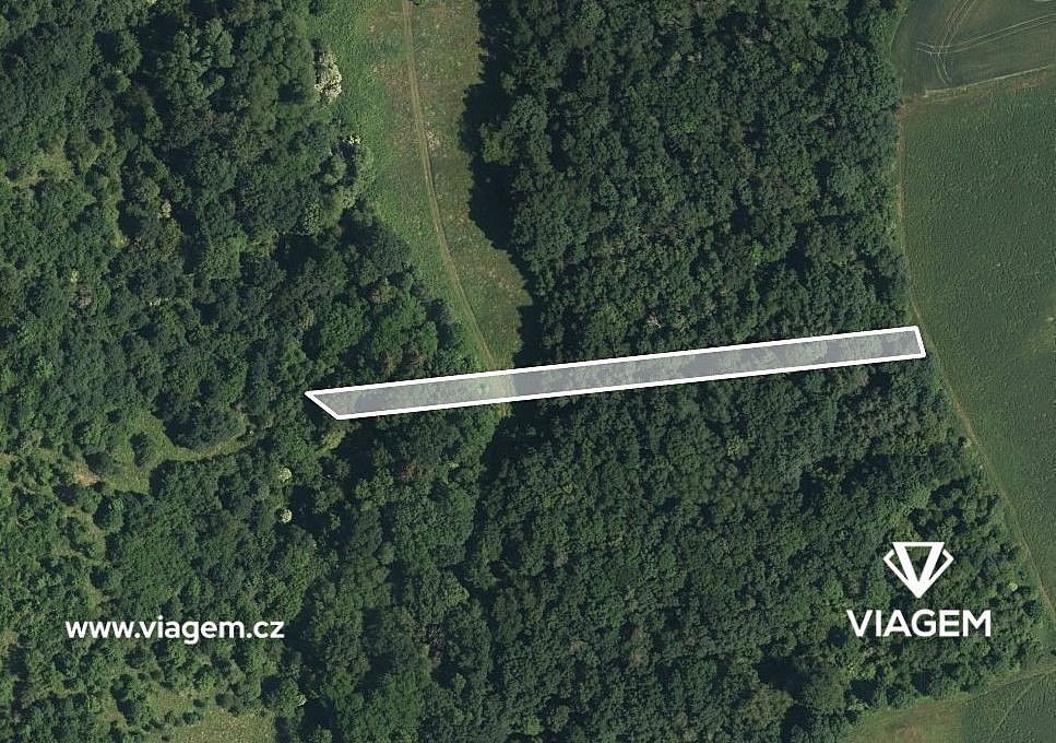 Les · Hradčovice, okres Uherské Hradiště, Zlínský kraj - 2