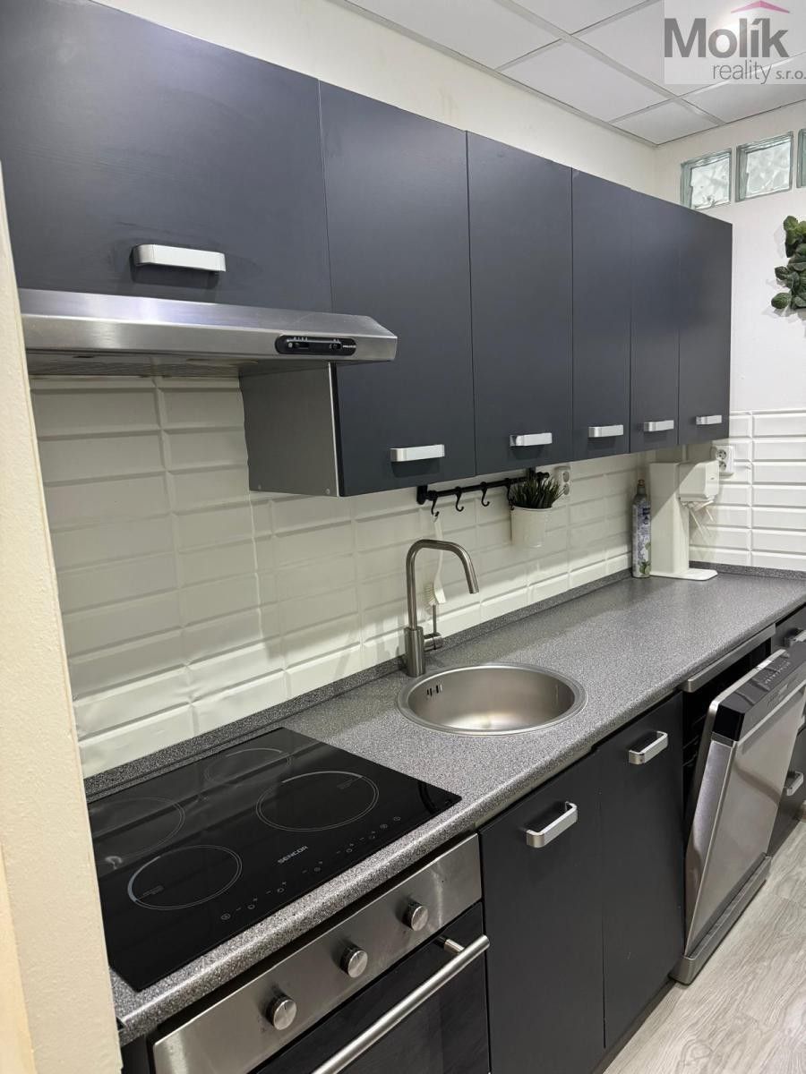3+1, B. Němcové, Litvínov, 63 m² - 1
