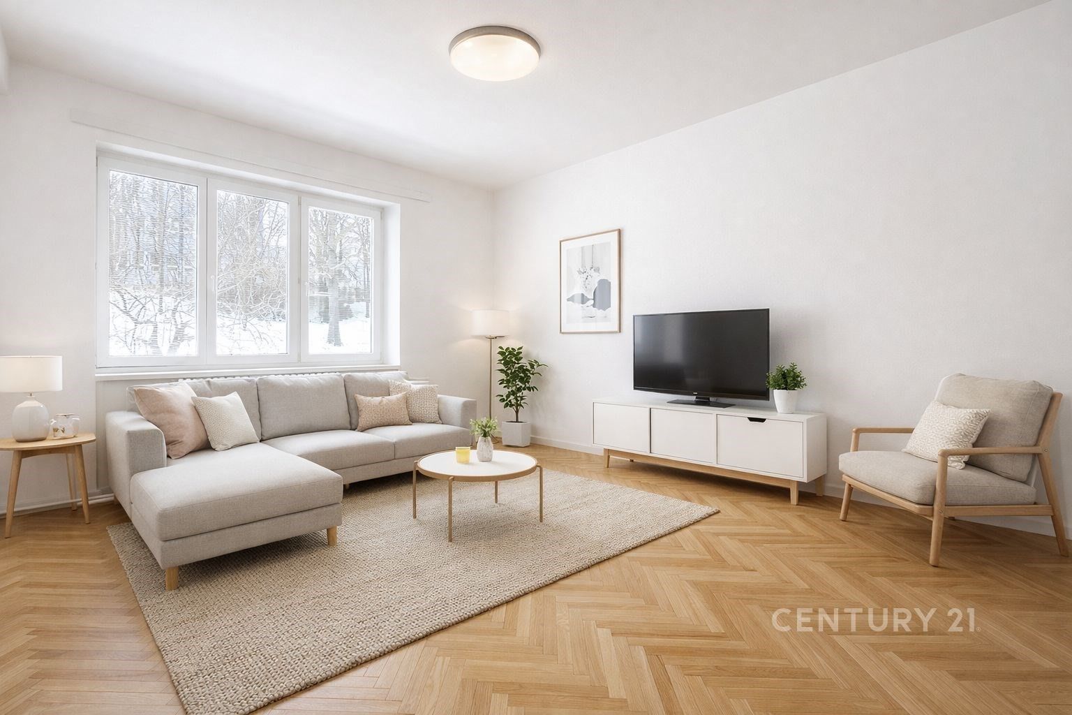 1+1, Úvoz 445, Brno, 38 m²