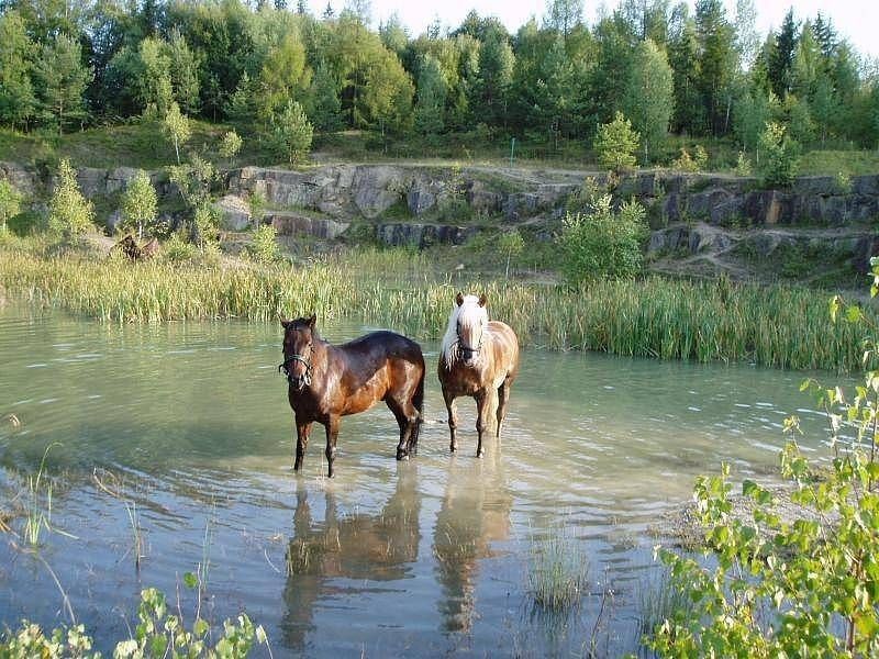 Chaty, Bojkovice - Bzová u Uherského Brodu, Zlínský kraj - 1